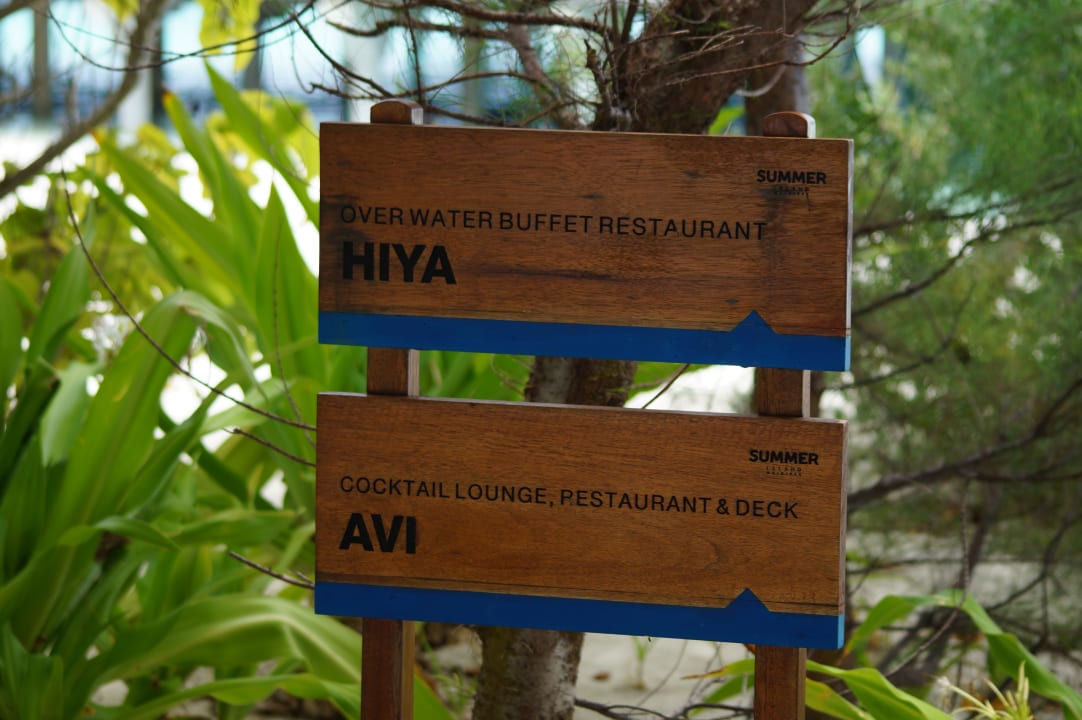 Gastro Summer Island Maldives