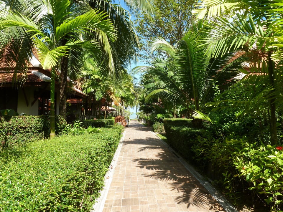 Weg zum Strand Khaolak Laguna Resort