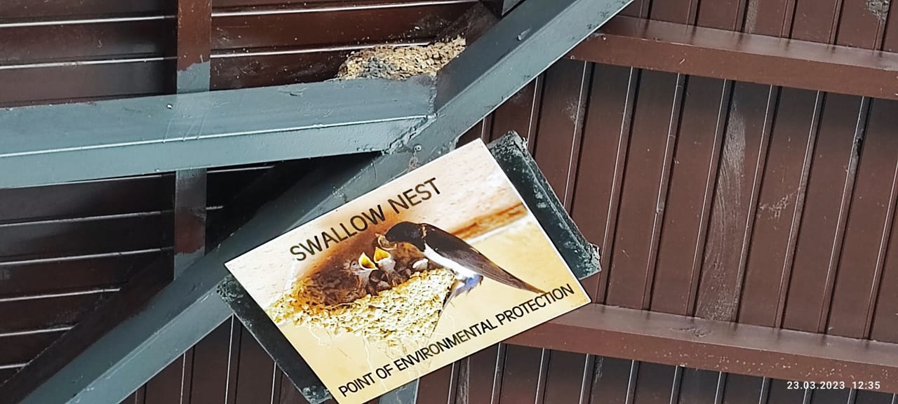 Sonstiges Asteria Family Belek