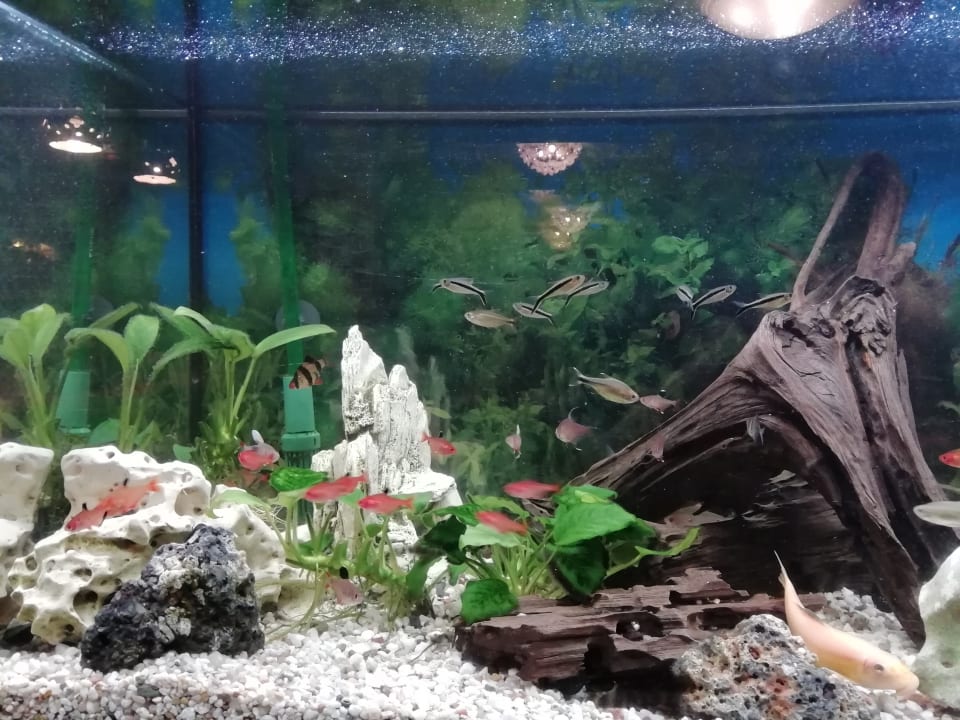 Sonstiges Hotel Gasthof Zur Krone