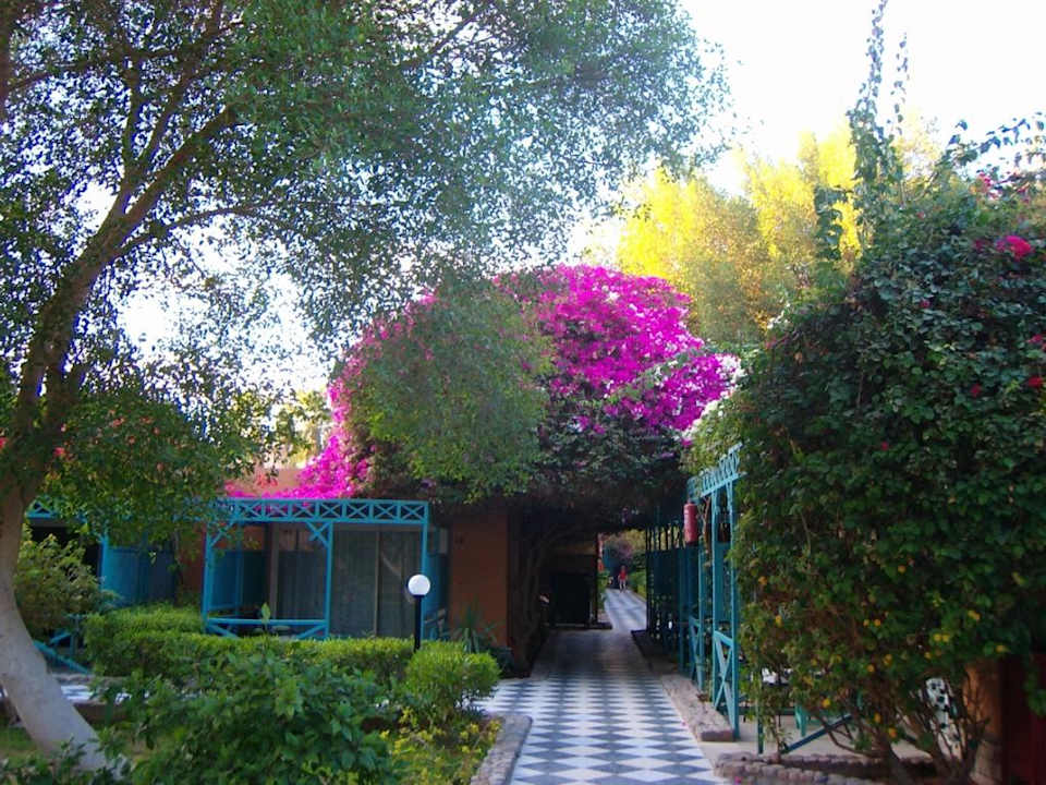 Anlage/Bungis Giftun Azur Resort