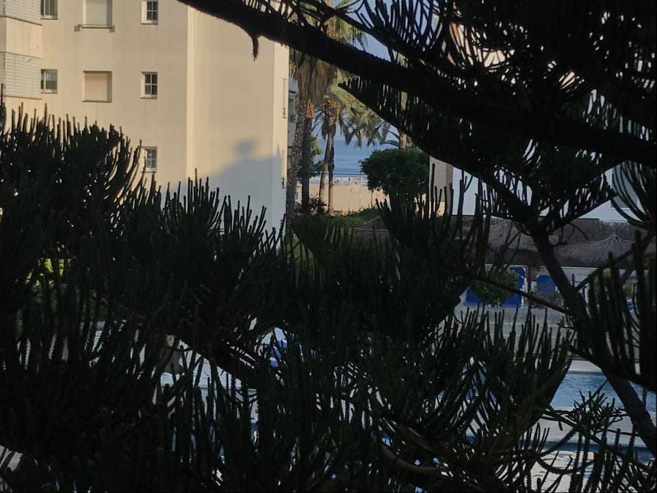 Ausblick Hotel Atenea Park Suites & Apartments