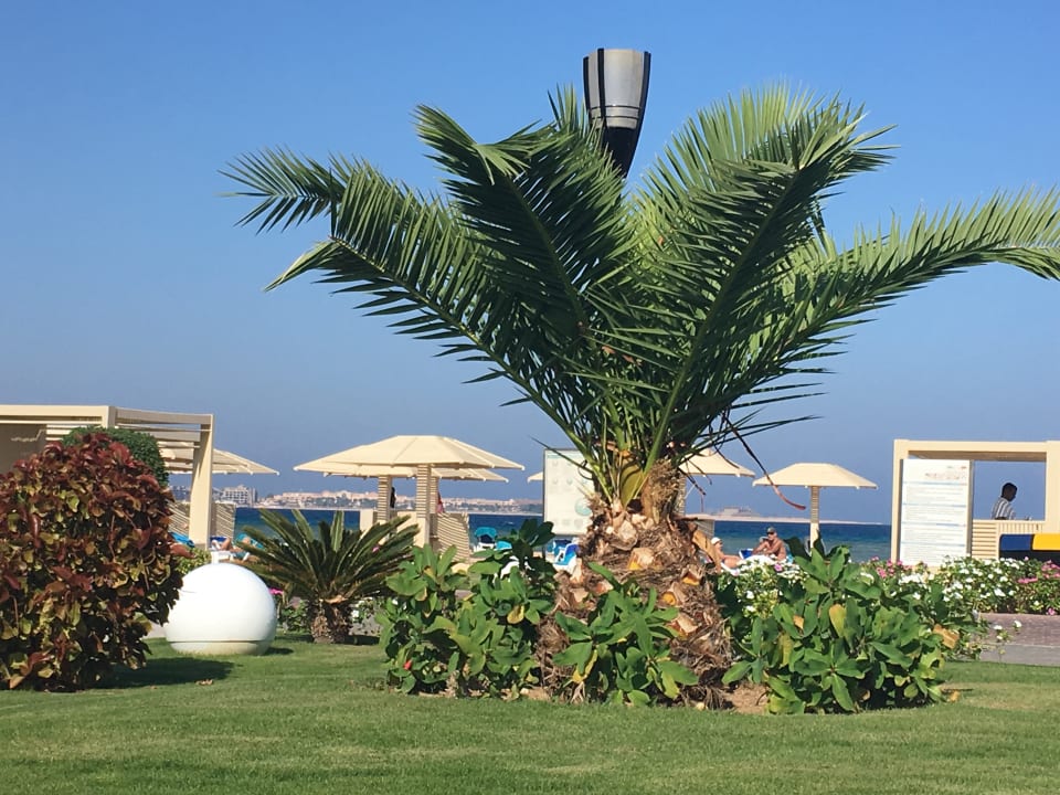 Garten Premier Le Reve Hotel & Spa