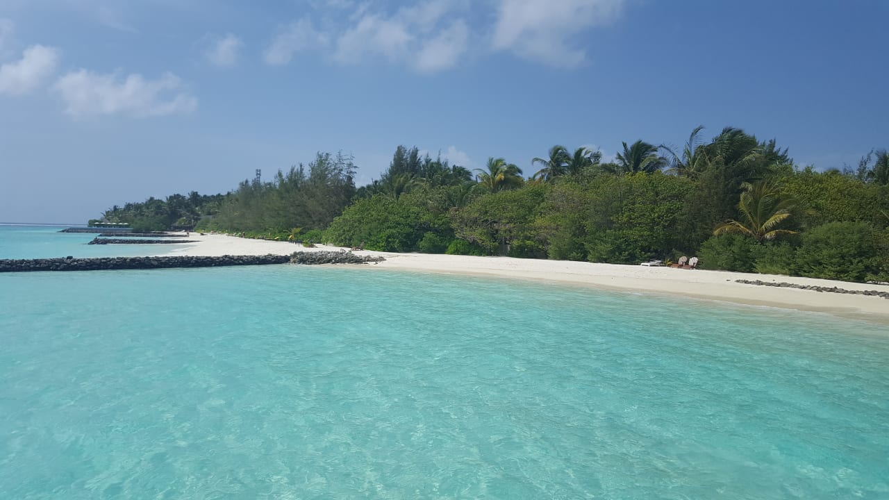 Strand Summer Island Maldives