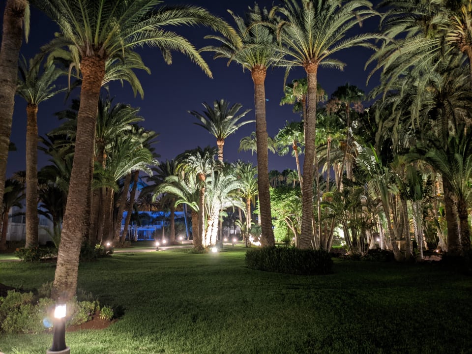 Gartenanlage Hotel Riu Palace Oasis