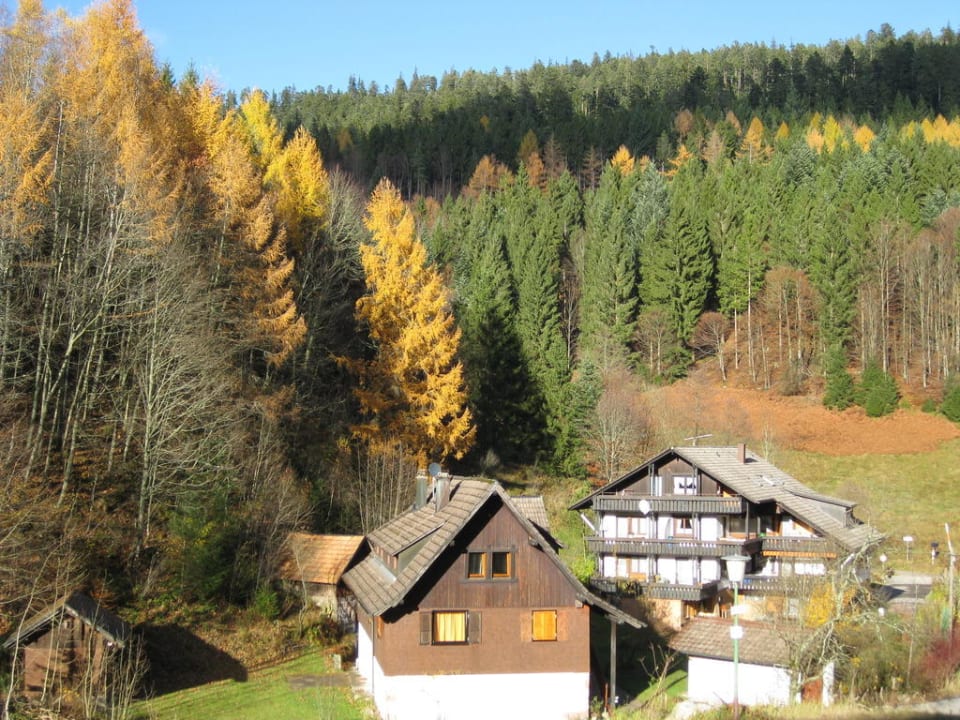 Ausblick auf das Grundstück Wellnesshotel Forsthaus Auerhahn