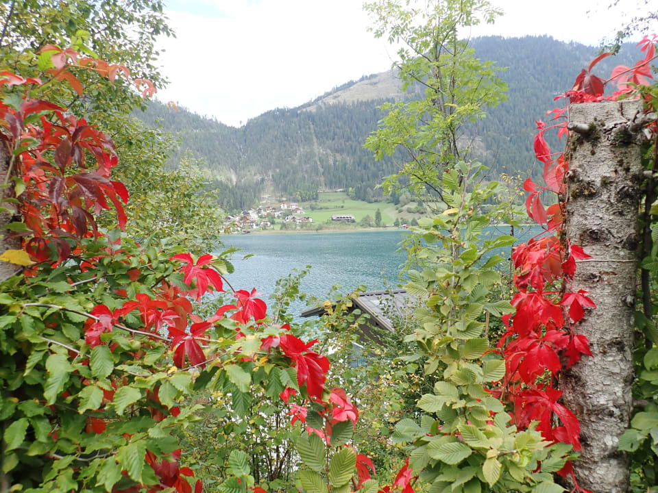 Ausblick Hotel Das Leonhard - Naturparkhotel am Weissensee
