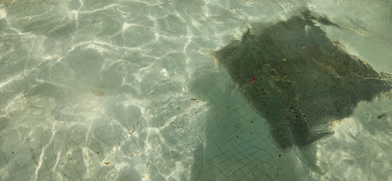 Pool Grand Waterworld Makadi & Family Star Makadi