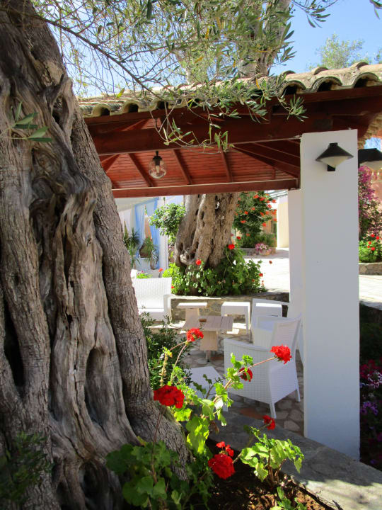 Am Mittag Sentido Apollo Palace