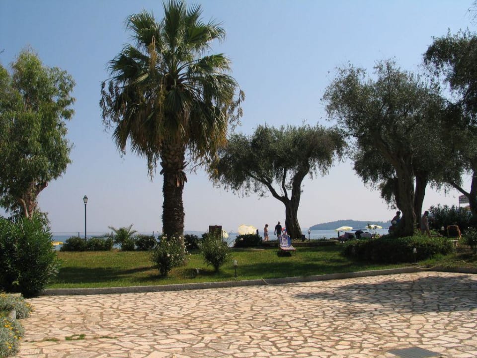 Elea Beach Garten 2 Elea Beach Hotel