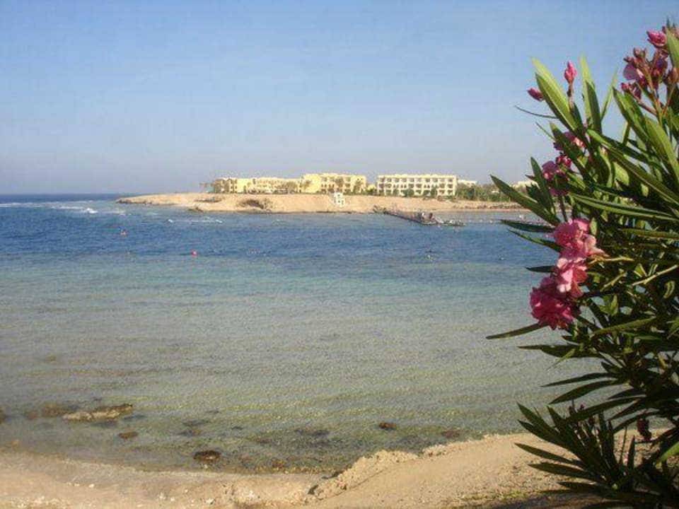 Steg und Tauchbootsanleger gegenüber Steigenberger Coraya Beach - Adults only