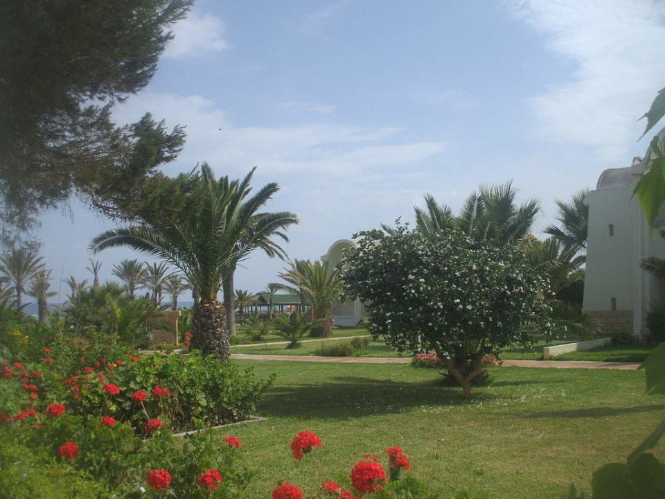 Ja das war toll Dar Khayam