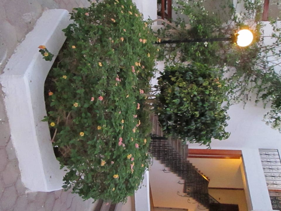 На аллее Marlin Inn Azur Resort