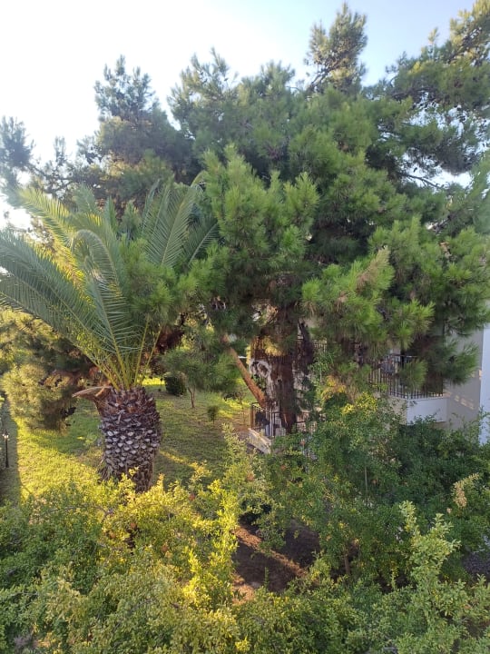 Gartenanlage Hotel Club Nena