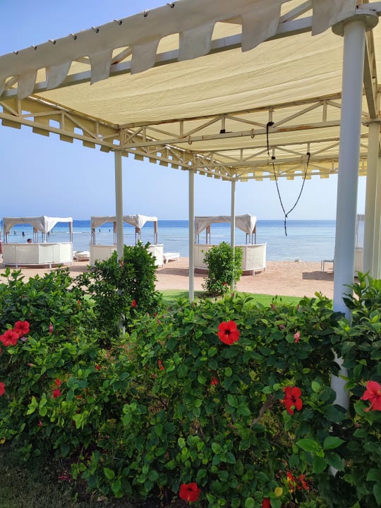 Strand Makadi Spa - Adults only