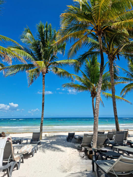 Strand Catalonia Royal Tulum Beach & Spa Resort - Adults only