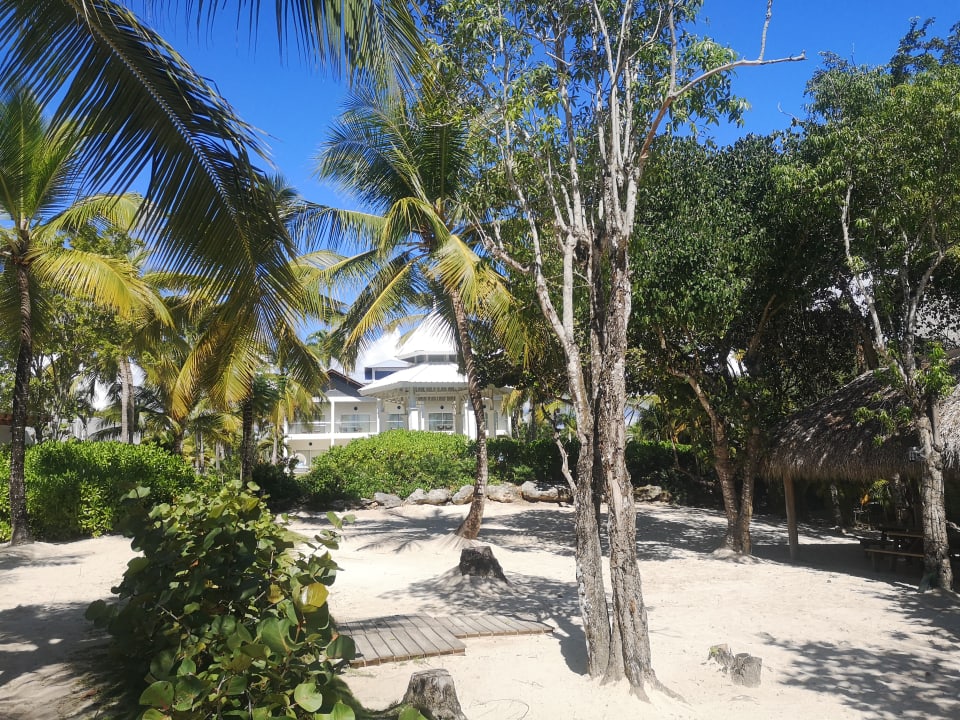 Gartenanlage Secrets La Romana Resort & Spa - Adult Only