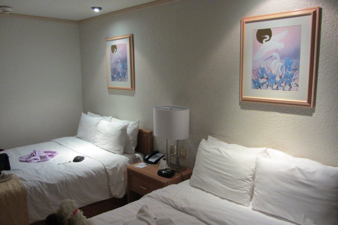 Zimmer im Plaza Florencia Hotel Plaza Florencia