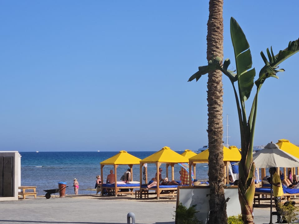 Strand Pickalbatros Palace Resort
