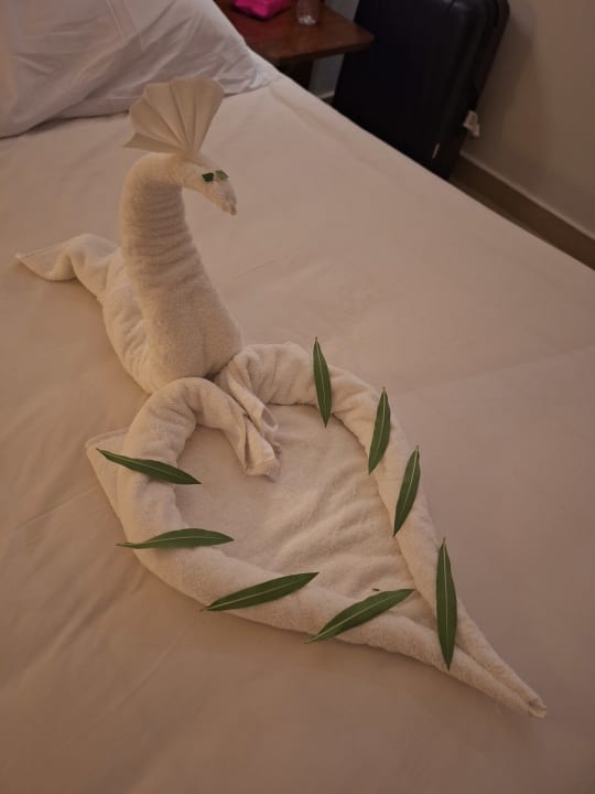 Zimmer Stella Garden Resort & Spa, Makadi Bay