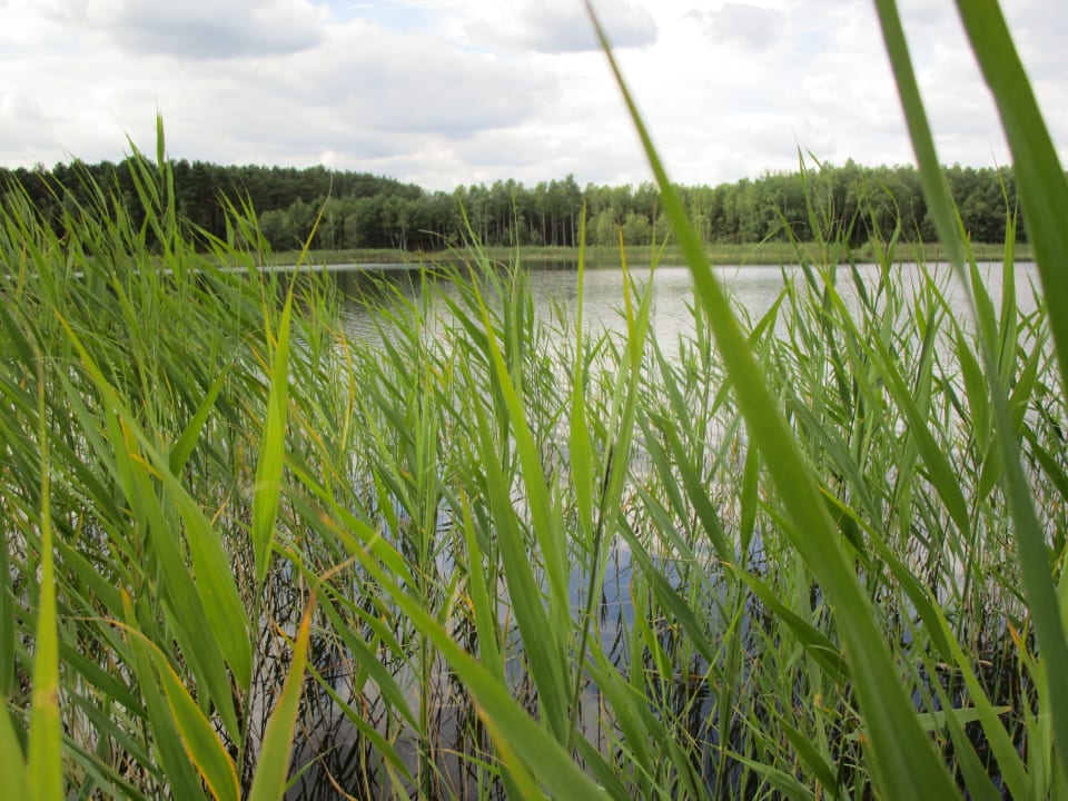 Ausblick Center Hotel Bronkow