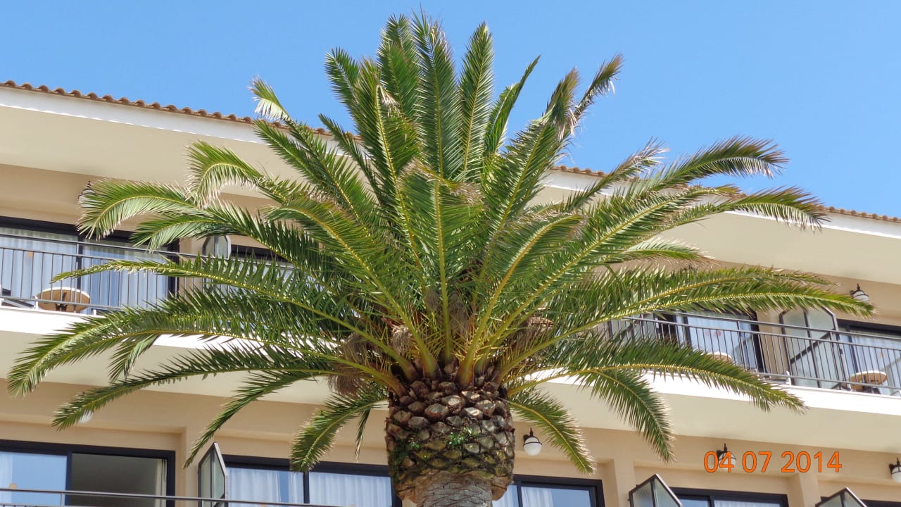 Meerseite R2 Lago Playa Park