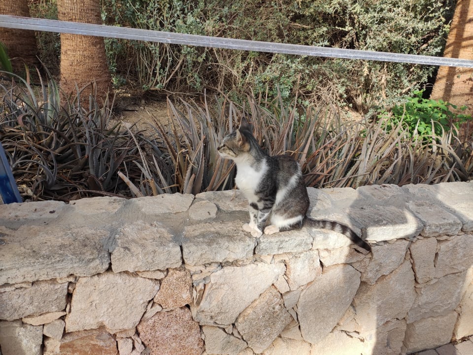 Sonstiges VOI Praia De Chaves Resort