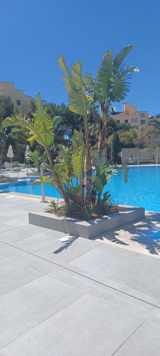 Pool Hipotels Playa De Palma Palace