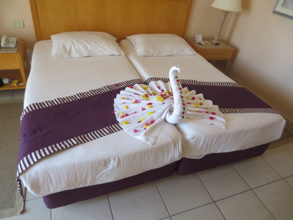 Zimmer Hotel JAZ Makadi Star & Spa