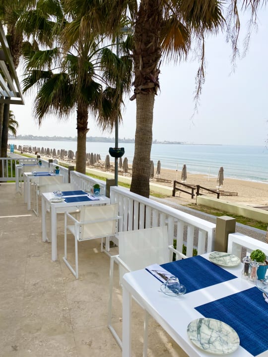 Gastro Acanthus Cennet Barut Collection