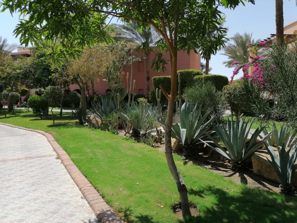 Gartenanlage Jaz Makadi Oasis Resort
