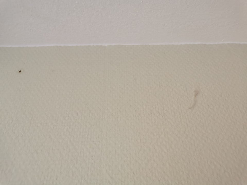 Zimmer Center Parcs Park Nordseeküste