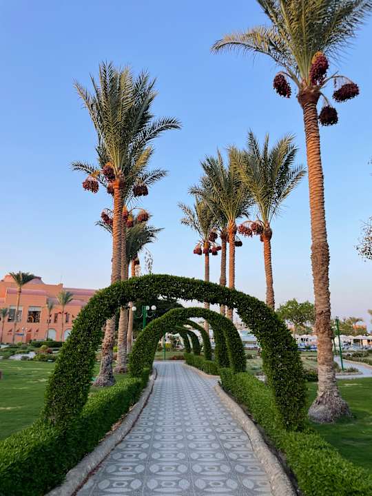 Gartenanlage Akassia Swiss Resort