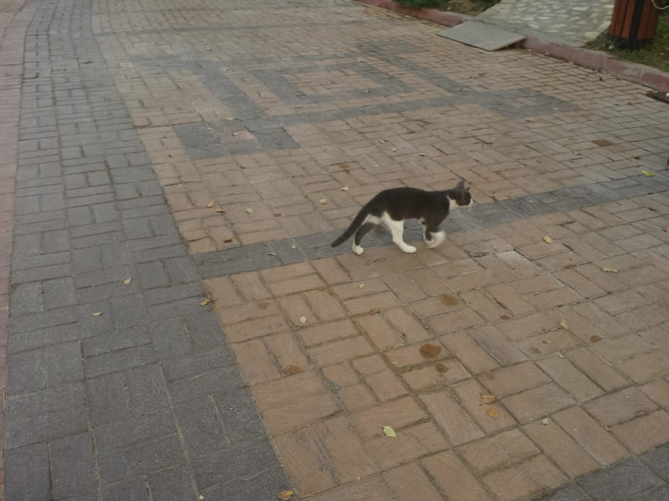 Katzis Horus Paradise Luxury Resort & Club