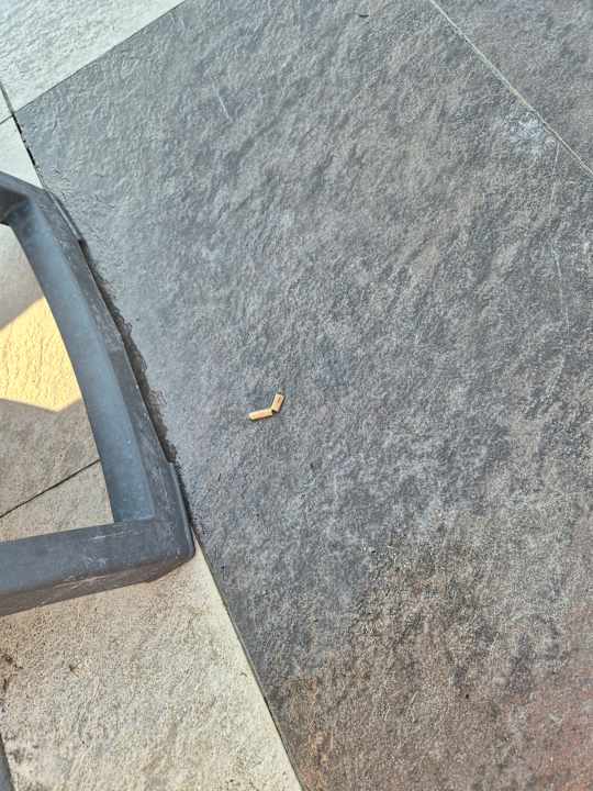 Pool Megasaray Club Belek