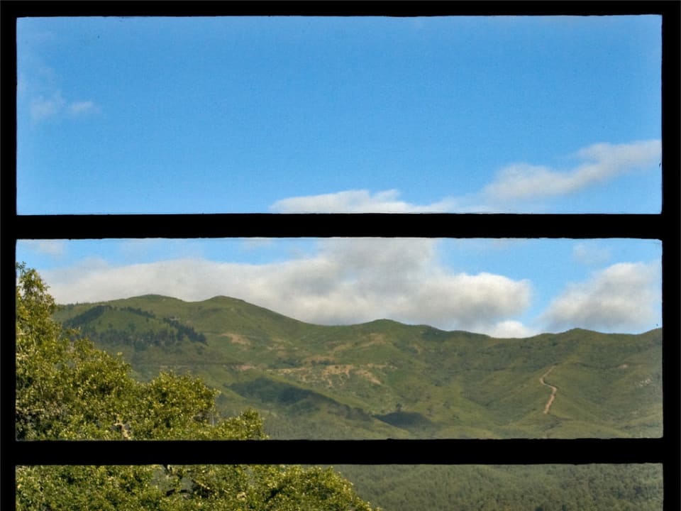 View from the living room - The Main House Quinta das Colmeias