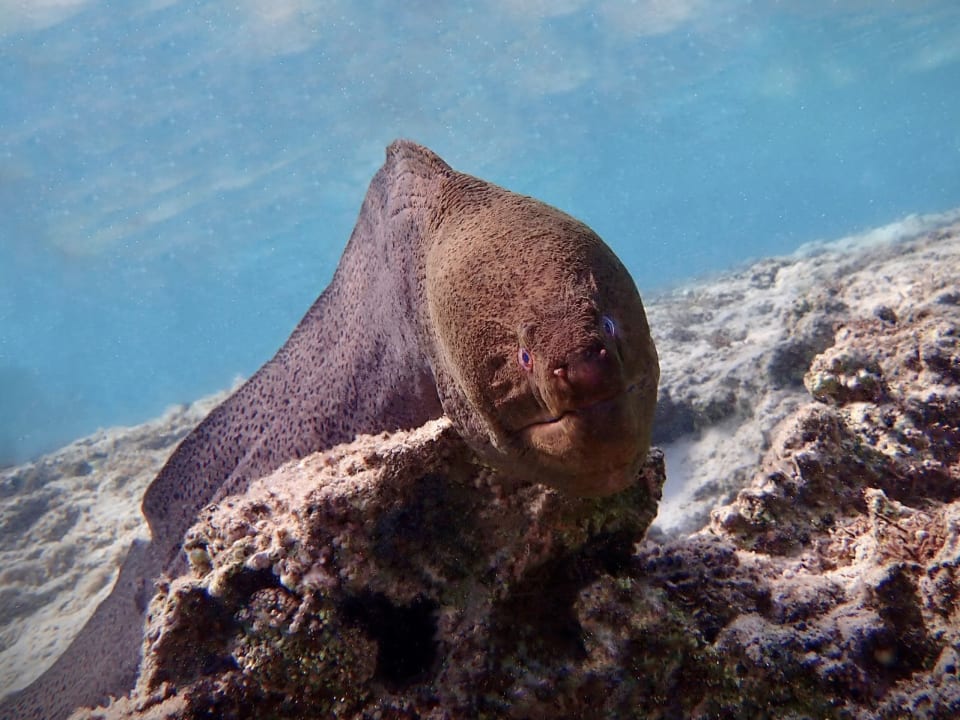 Sport & Freizeit Three Corners Happy Life Beach Resort