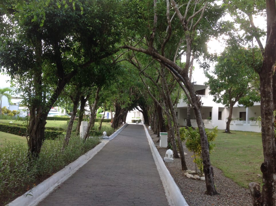 Gartenanlage Sunscape Puerto Plata