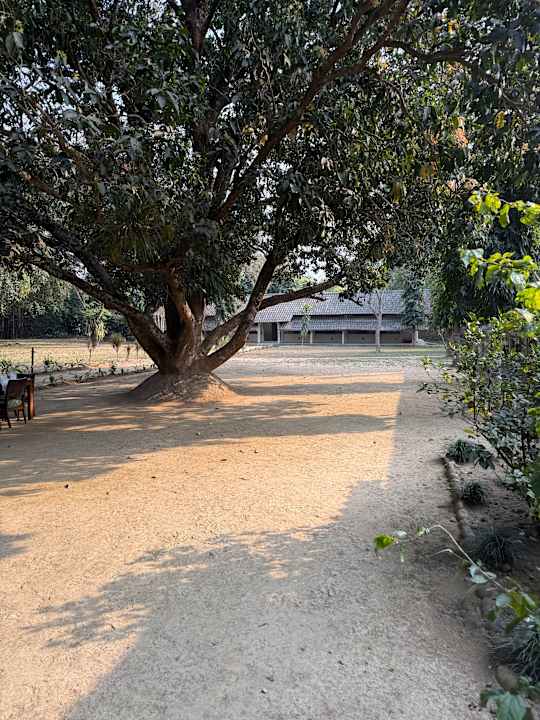 Außenansicht Tiger Tops Tharu Lodge