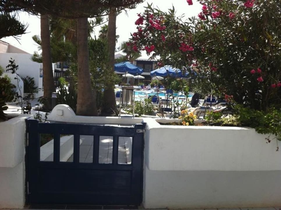 Blick auf Pool Bungalows & Appartements Playamar