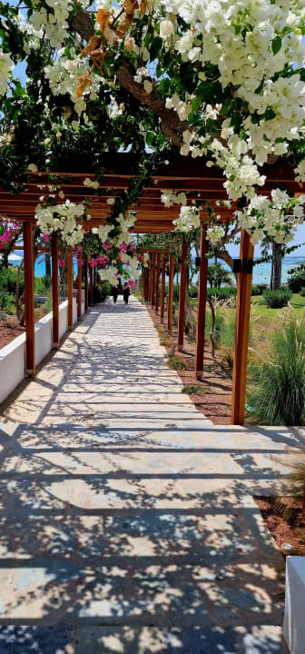 Gartenanlage Hotel Nissi Beach Resort