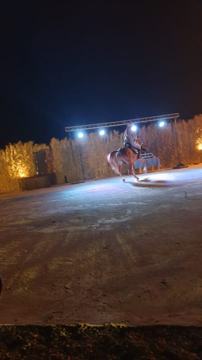 Sport & Freizeit Casa Mare Resort