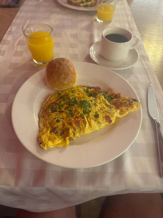 Gastro Seashell Vega