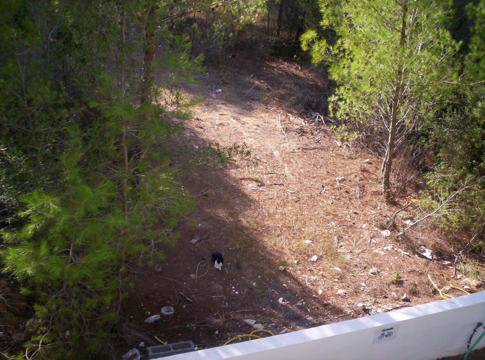 In nachbars garten Hotel Exagon Park