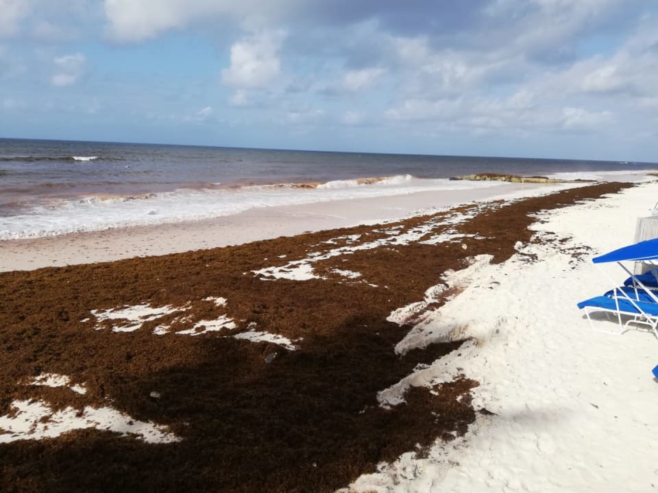 Strand Sea Breeze Beach House - All Inclusive