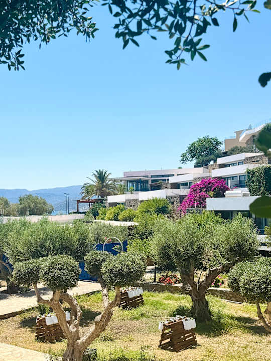 Gartenanlage Ariadne Beach Hotel