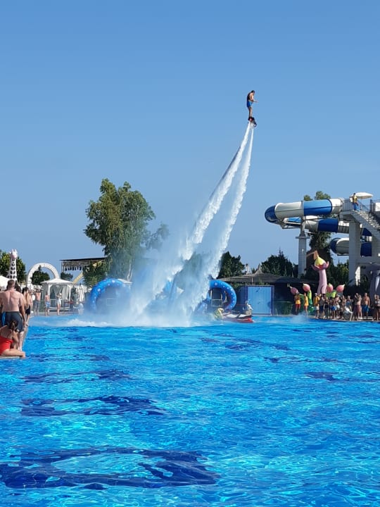 Pool Hotel Delphin Imperial