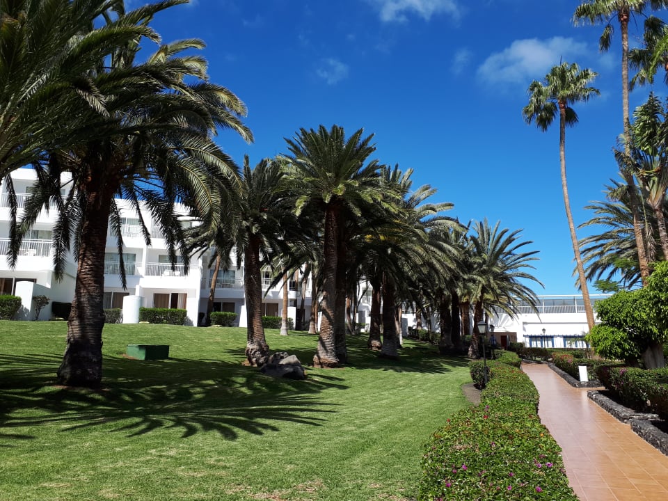 Gartenanlage Hotel Riu Paraiso Lanzarote