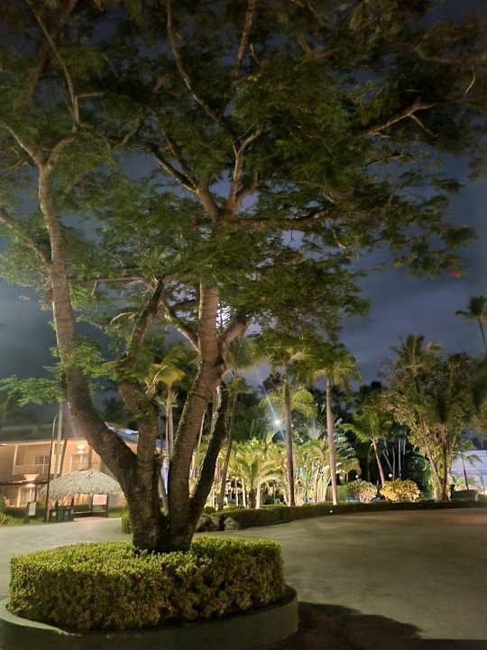 Gartenanlage TRS Turquesa Hotel - Adults only