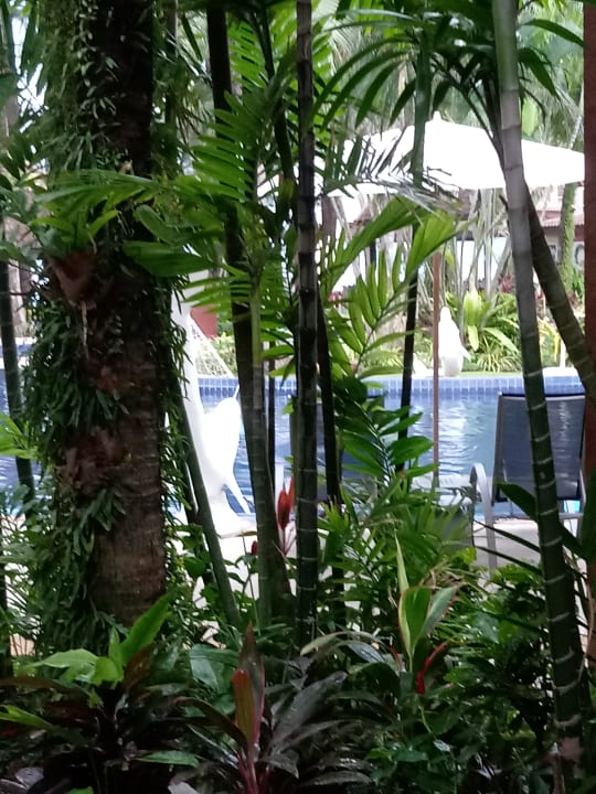 Pool Best Western Premier Bangtao Beach Resort & Spa